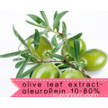 HPLC Estratto di foglie di olivo Oleuropeina 20% 98%